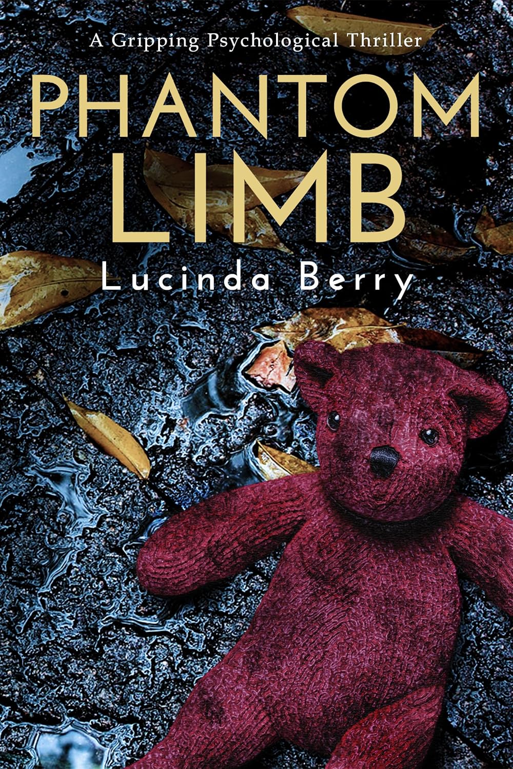 Book cover of 'Phantom Limb' by Lucinda Berry featuring a red teddy bear on a dark background. Readers across Bangladesh can shop for English books from Bookish Wonderland with online ordering with home delivery, while enjoying reader-friendly cream paper.