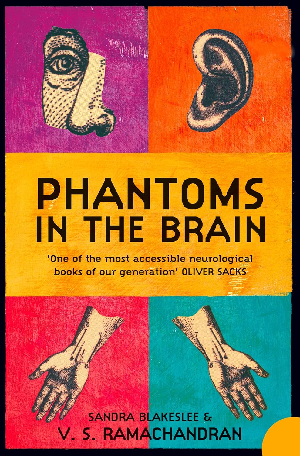 Book cover of 'Phantoms in the Brain' with colorful design elements. Readers across Bangladesh can shop for premium-quality books from Bookish Wonderland with urgent delivery options in Dhaka, while enjoying high-quality stitched and glue binding.
