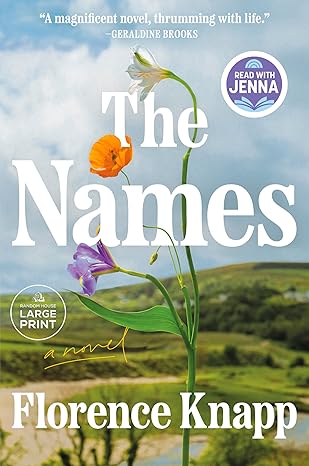 Book cover of 'The Names' by Florence Knapp with a scenic background. Bookish Wonderland provides a convenient way for readers throughout Bangladesh to shop for printed English books with nationwide delivery and sharp text and durable binding.