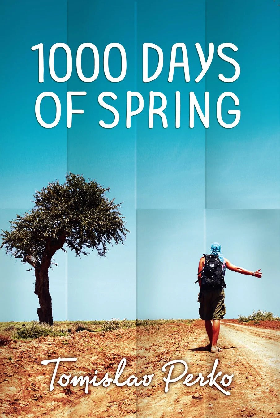 Book cover of '1000 Days of Spring' with a person walking on a dirt road and a tree.