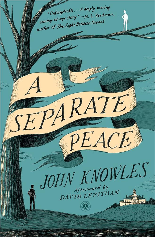 A Separate Peace book cover by John Knowles, classic coming-of-age novel about friendship and life at a boarding school during World War II