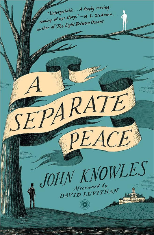 A Separate Peace book cover by John Knowles, classic coming-of-age novel about friendship and life at a boarding school during World War II