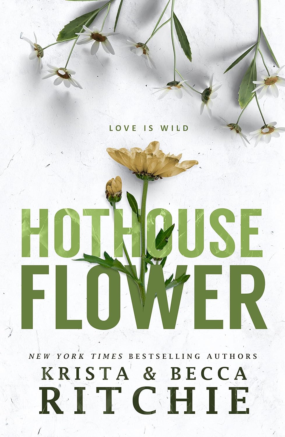 Hot House Flower by Krista and Becca Ritchie (Calloway Sisters Series, Book 2 / Addicted Universe Book 5) book cover featuring white daisies and a green flower on a white background. Premium English romance novel available at Bookish Wonderland Bangladesh.