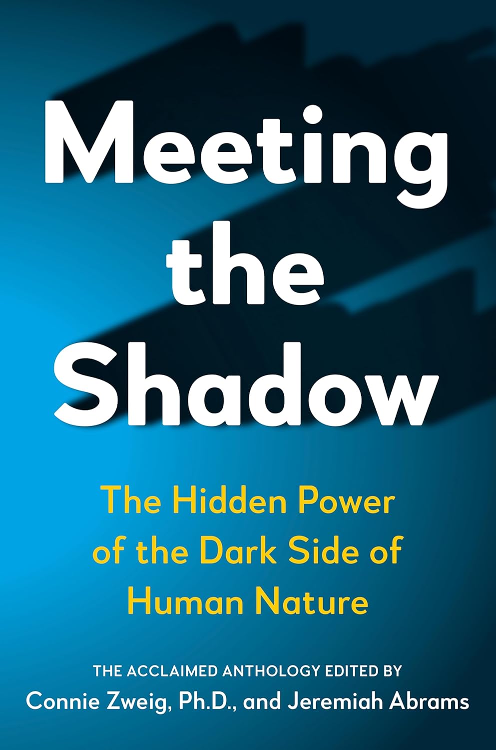 Book cover of 'Meeting the Shadow' with a blue and black gradient background. Online shoppers throughout Bangladesh can buy printed English books at Bookish Wonderland with online ordering with home delivery and editions featuring durable stitched-and-glue binding.
