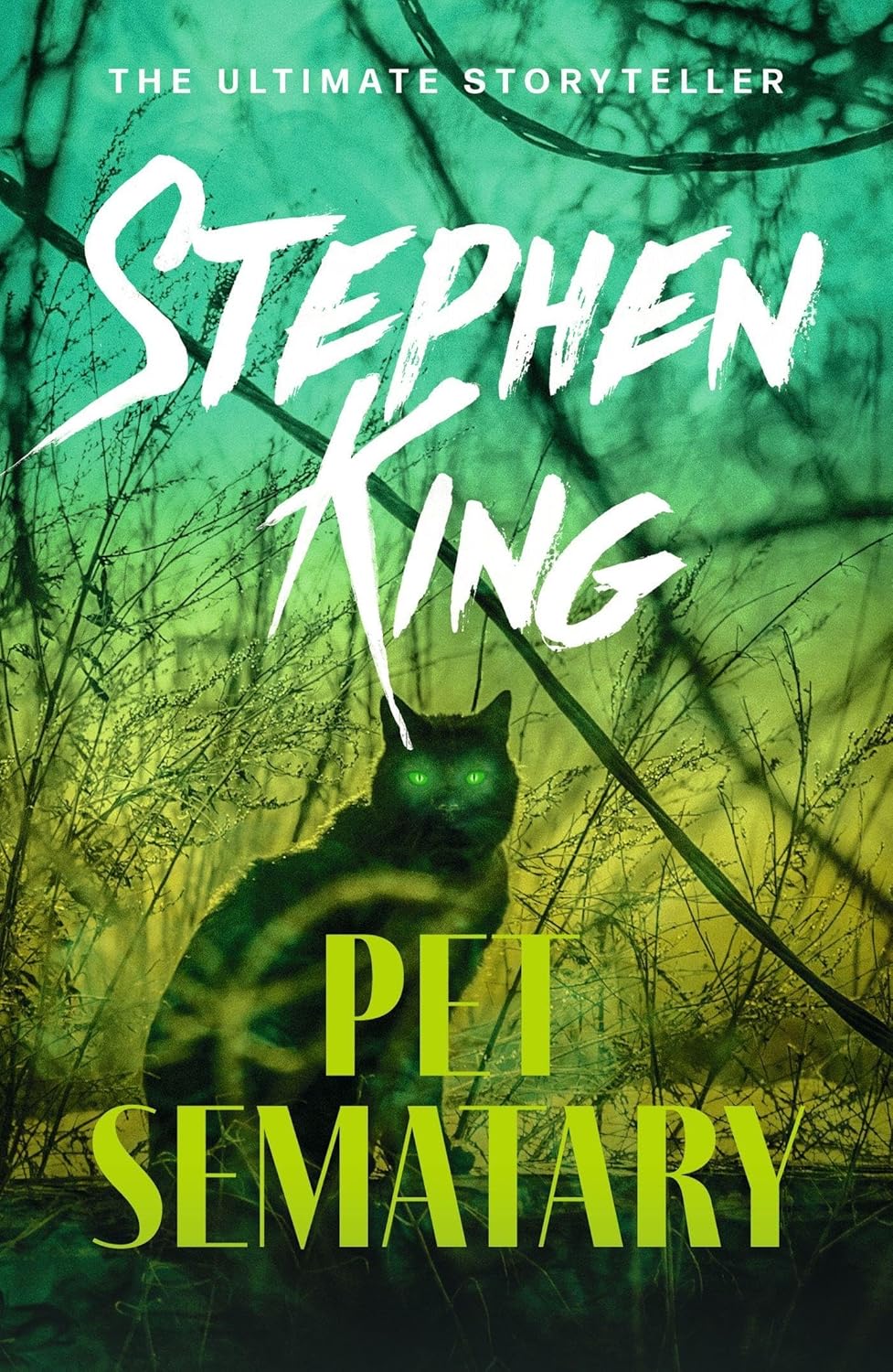 Book cover of 'Pet Sematary' by Stephen King with a cat and green text on a dark background. Online shoppers across Bangladesh can find English books at Bookish Wonderland with customer-friendly ordering and delivery and editions featuring premium eye-soothing cream paper.