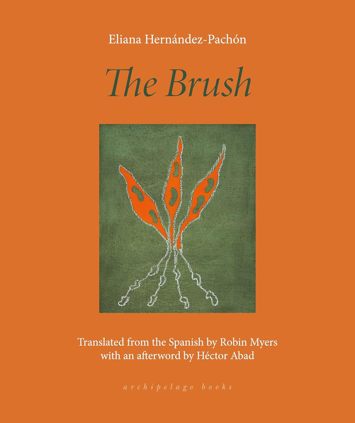Book cover of 'The Brush' with an orange background and a green square featuring a brush design. Bookish Wonderland provides a convenient way for readers across Bangladesh to find English books with urgent delivery options in Dhaka and durable stitched-and-glue binding.