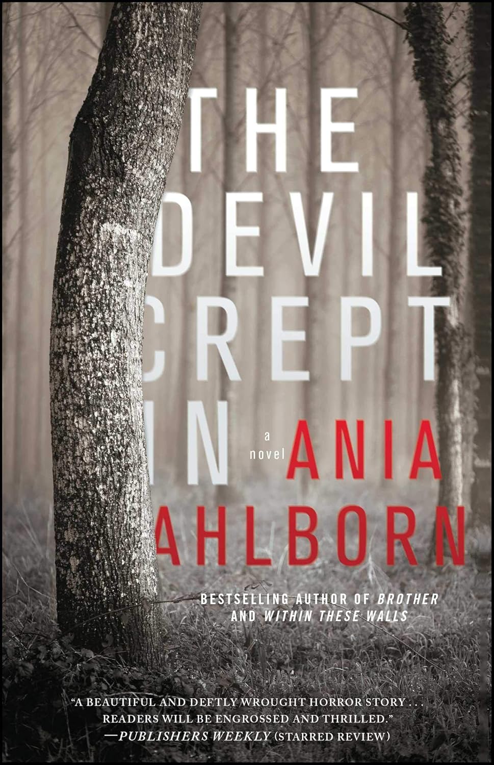 Book cover of 'The Devil Crept In' by Ania Ahlborn with a dark forest background. For customers across Bangladesh, Bookish Wonderland makes it easier to order quality English books through fast delivery options in Dhaka and premium eye-soothing cream paper.