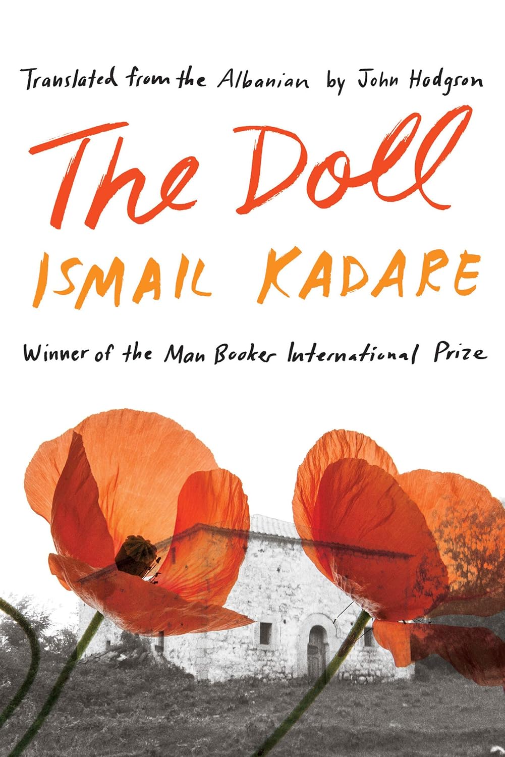 Book cover of 'The Doll' by Ismail Kadare with red flowers and a building in the background.For customers across Bangladesh, Bookish Wonderland makes it easier to purchase books for study and leisure through Cash on Delivery across Bangladesh and sharp text and durable binding.