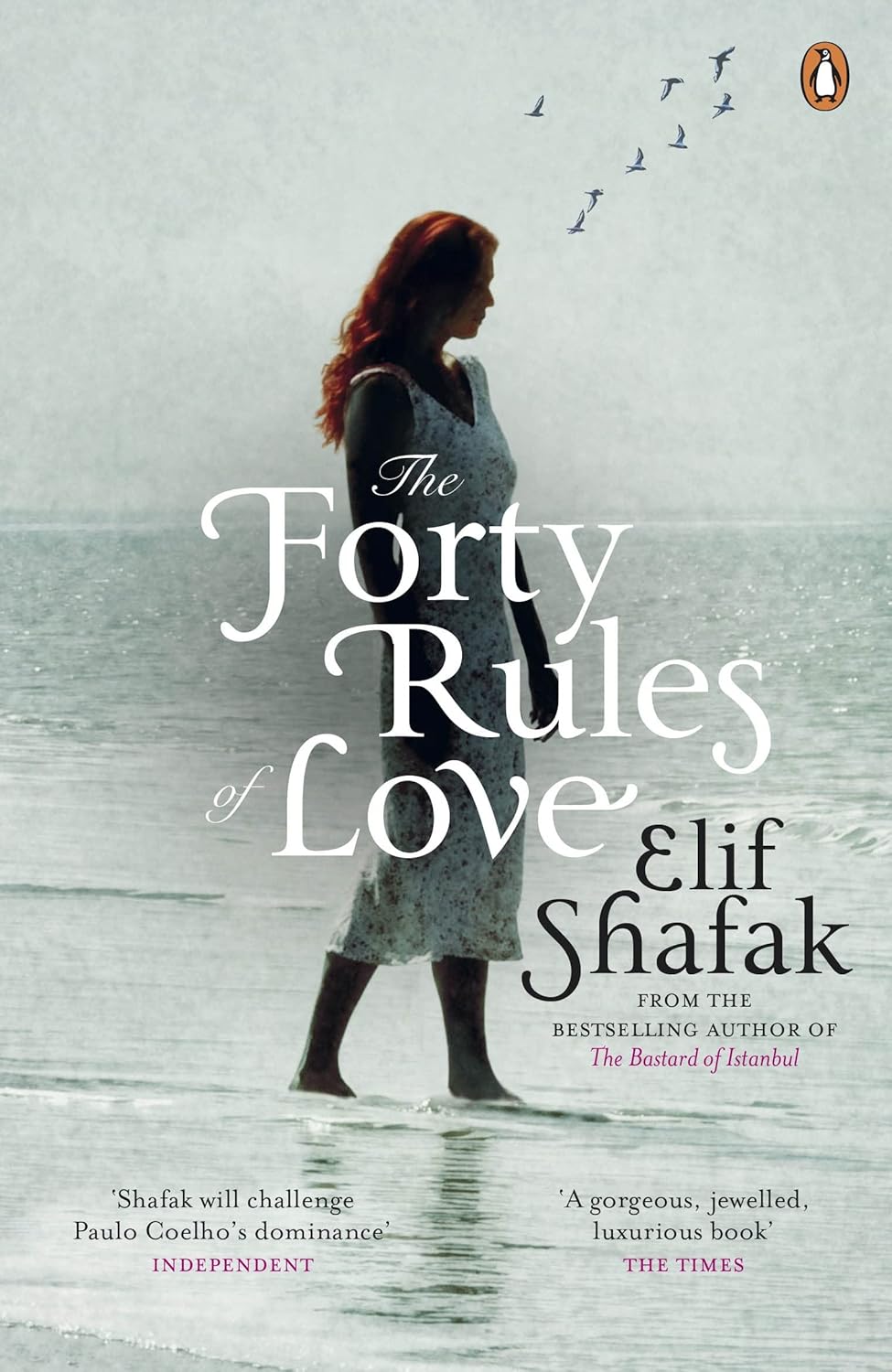 Book cover of 'The Forty Rules of Love' by Elif Shafak with a woman standing on a beach.Customers seeking quality English books across Bangladesh can discover them through Bookish Wonderland, supported by urgent delivery options in Dhaka and premium eye-soothing cream paper.