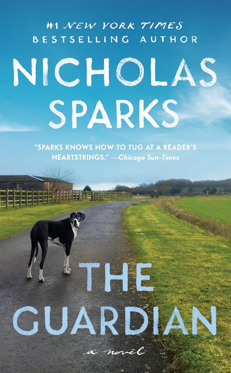 The Guardian by Nicholas Sparks price in Bangladesh Online shoppers across Bangladesh can discover English books at Bookish Wonderland with nationwide delivery and editions featuring sharp text and durable binding.