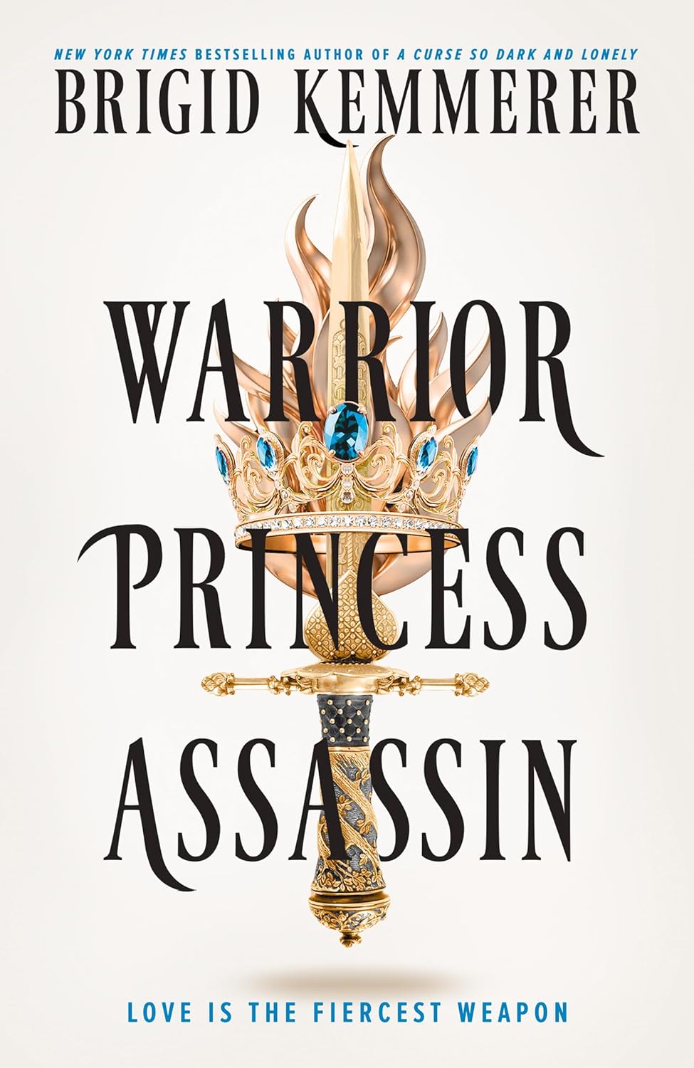 Book cover of 'Warrior Princess Assassin' with a sword and crown design. Bookish Wonderland provides reliable customer service in Bangladesh.