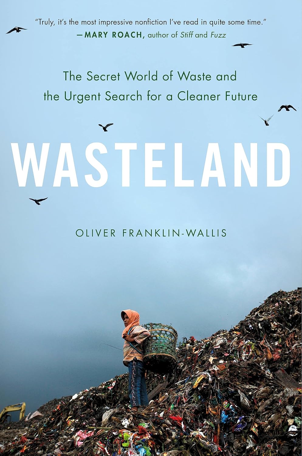 Book cover of 'Wasteland' with a person on a mountain of trash and birds flying against a blue sky. Bookish Wonderland offers affordable books throughout Bangladesh.