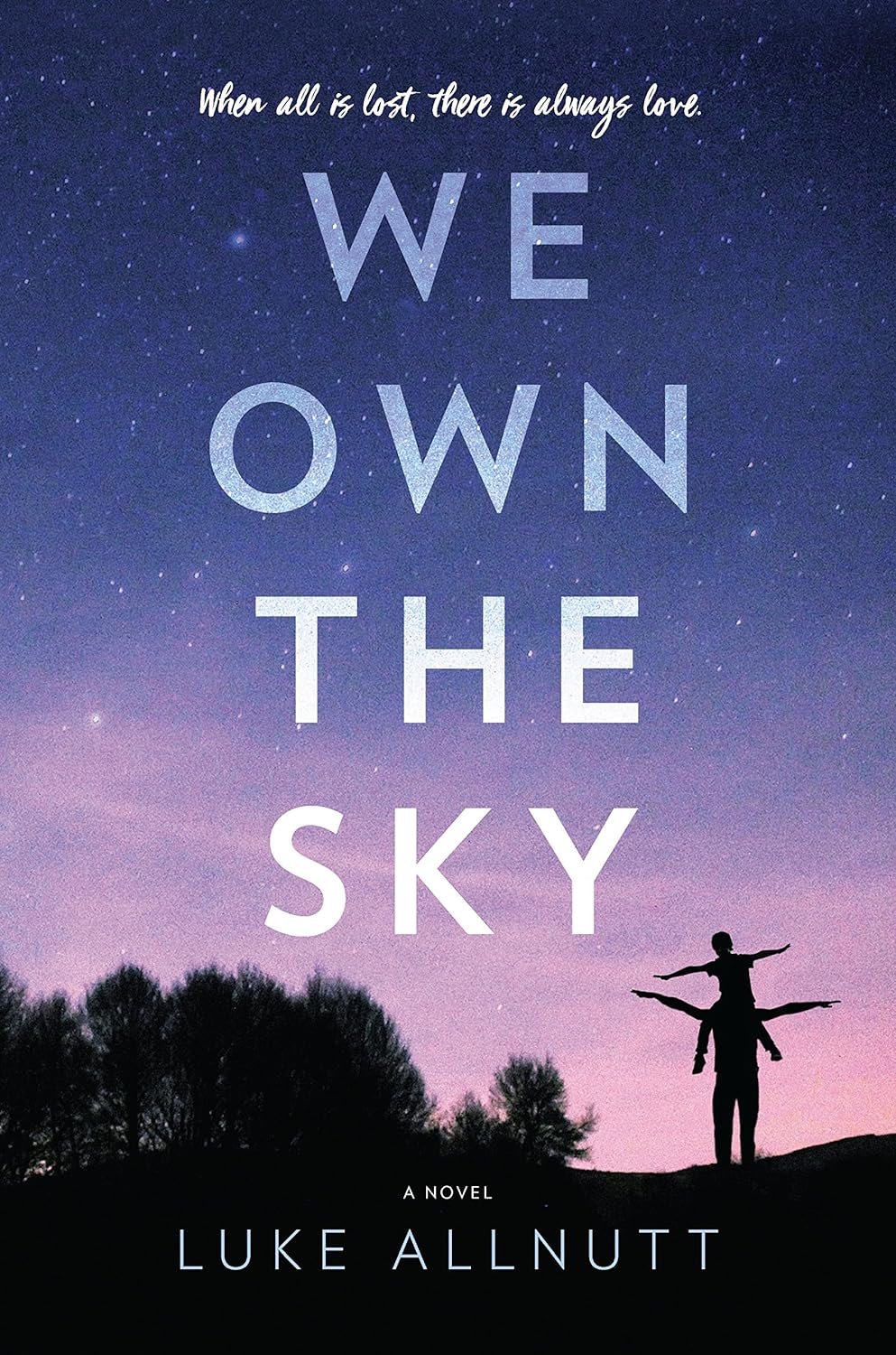 Book cover of 'We Own the Sky' by Luke Allnutt with a silhouette of a man and woman against a starry sky.
