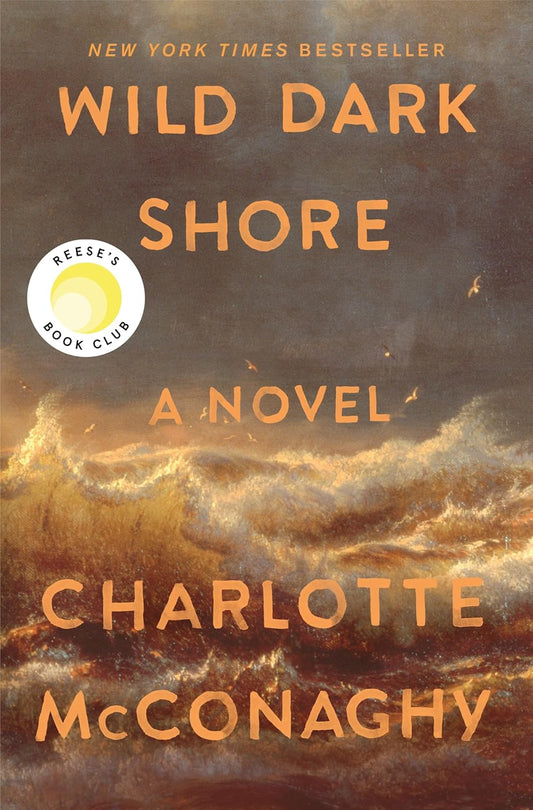 Book cover of 'Wild Dark Shore' by Charlotte McConaghy with a sunset over water illustration. in BD
