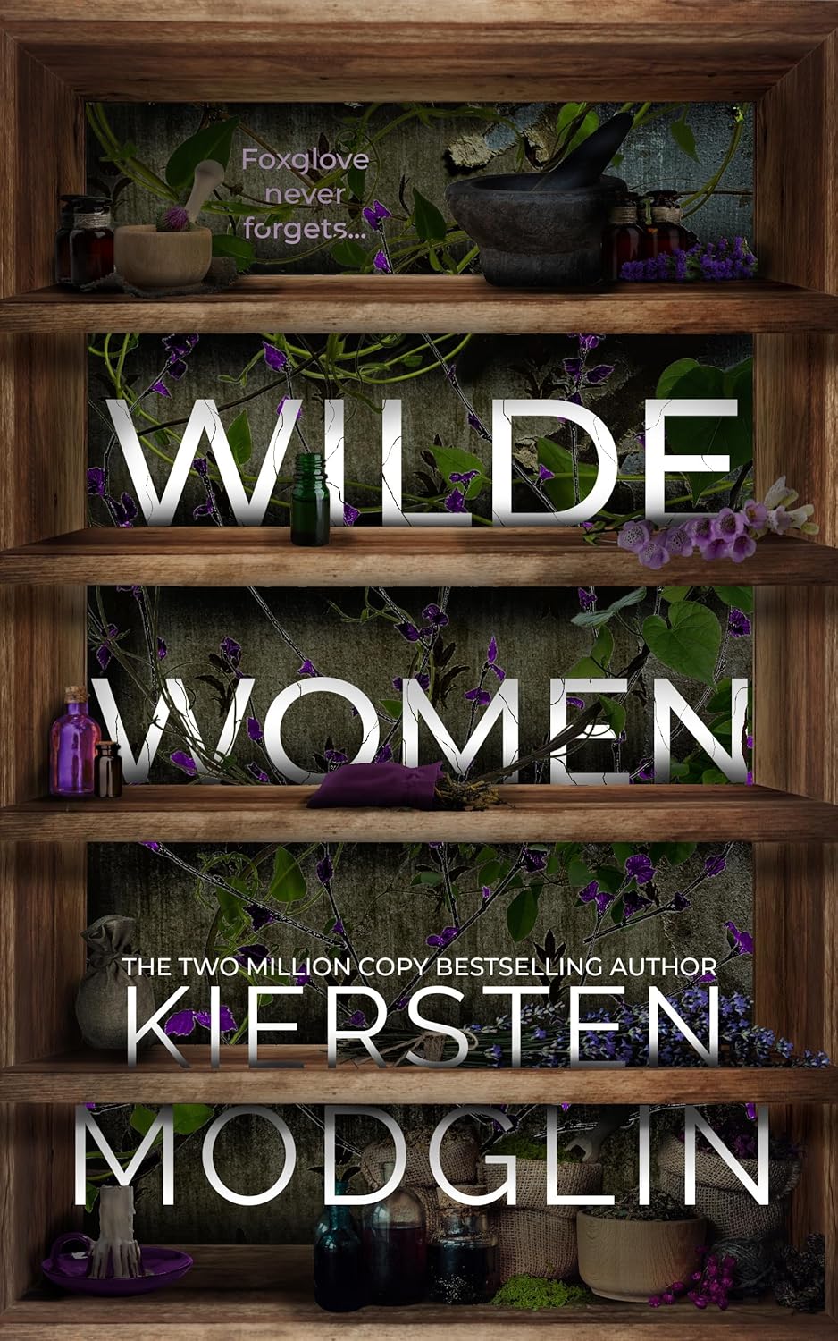 Book cover of 'Wilde Women' by Kiersten Modglin with shelves and plants in the background book in Bangladesh