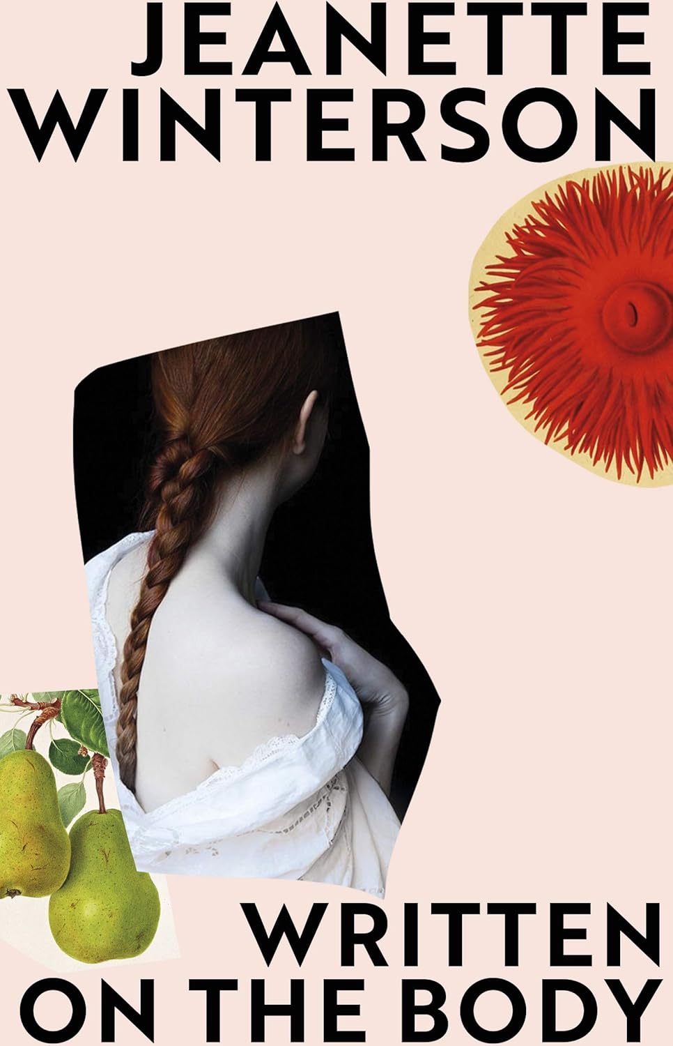Book cover of 'Written on the Body' by Jeanette Winterson featuring a woman, pears, and a red flower. Bookish Wonderland helps build personal libraries in Bangladesh.